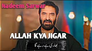 Allah Kya JIGAR Nadeem Sarwar 2025 [upl. by Negiam]