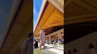 Madina Sharif 🥰🥰🥰Islamic videoindia [upl. by Melar575]