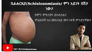 የቢልሐርዚያ በሽታ ምንድነው Understanding BilharziaSchistosomiasis [upl. by Cirted319]