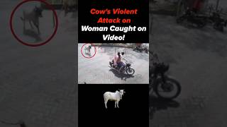 The Most Shocking Videos Ever Caught on Camera  scary comp 21 [upl. by Vite616]