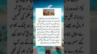 Hazrat moosa AS ka waqia shortsvideo quotes islamicknowledge motivation [upl. by Caundra]