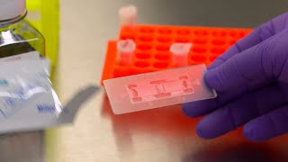 How to use a Hemocytometer for Tissue Culture Cell Counting [upl. by Neeluj]