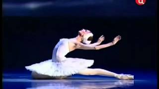 The Dying Swan Svetlana Zakharova Camille SaintSaens [upl. by Mendie]