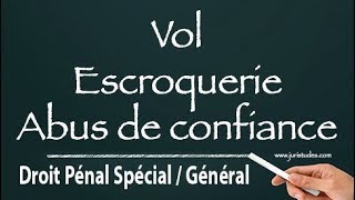 Les infractions contre les biens Droit Pénal Spécial  Général [upl. by Evoy]