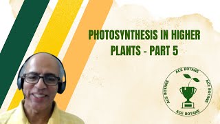 Photosynthesis in Higher Plants  Part 5  NCERT  Botany  Chapter 13 English [upl. by Bradstreet]