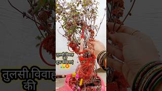 Tulsi Vivah 🙏🌺Statusshorts statusvideoyoutubeshortstrendingshortsviralvideoshubhiwonderhub [upl. by Aynatal]