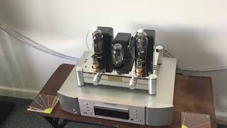 Reisong A10 Tube Amplifier with Vintage Mullard EL38 Tubes [upl. by Nuawaj]