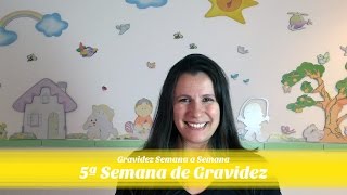 5ª SEMANA DE GRAVIDEZ [upl. by O'Dell45]