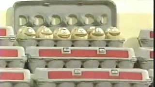 Classic Sesame Street  Here Is Your Life carton of eggs [upl. by Ennoira725]