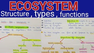 Ecosystem structure and functions  Ecosystem structure  ecosystem structure and functions notes [upl. by Nnep472]