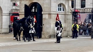 The Queens Guard Gets His Sword Entangled On Dismount [upl. by Skurnik]