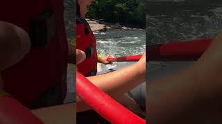 Water rafting nature outdoors waterrafting river [upl. by Gav20]