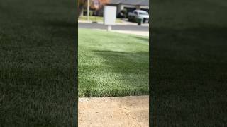 landscape artificialturf grass turf [upl. by Atnom77]