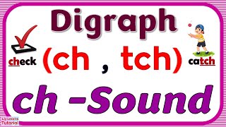 DIGRAPH ch  READING Words amp Sentences with ch Sound Spelt as CH amp TCH  Liy Learns Tutorial [upl. by Lucian950]