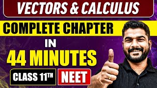 VECTORS AND CALCULUS in 44 Minutes  Full Chapter Revision  Class 11 NEET [upl. by Ibmab49]