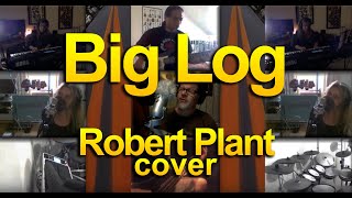 Big Log  Robert Plant cover [upl. by Dare]