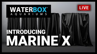 Episode 36 Meet the MARINE X™ by Waterbox Aquariums [upl. by Scevour]