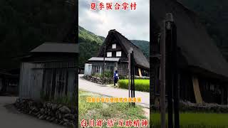 夏季版白川鄉合掌村！世界文化遺產探索 travel 合掌村 合掌造り [upl. by Skiba]