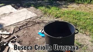 Buseca Criolla Uruguaya [upl. by Ahsekahs962]