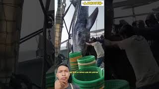 Musibah tidak ada di kalender😱😱hati hati dalam bekerja❗❗ shortvideo musibah waspada feedshorts [upl. by Aokek]