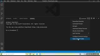 How to convert powershell to CMD in vscode [upl. by Dyolf596]