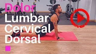 ❌ Dolor Lumbar Cervical y Dorsal  Estiramientos Alivia el dolor 😁 [upl. by Zsazsa]