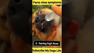 Parvo virus symptoms [upl. by Almena503]