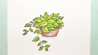 Easy Drawing Plant Pothos [upl. by Adamo]