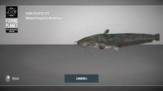 Fishing Planet Tiber River Italy Trophy Wels Catfish  Medalowy Sum Pospolity fishingplanet sum [upl. by Accever216]