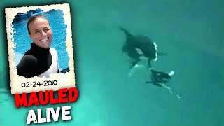 HORRIFYING Footage of Killer Whale Fatally Mauling Trainer Dawn Brancheau [upl. by Elad57]