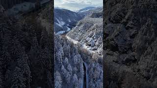 The beauty of fresh Pow Pow ☃️ winterwonderland rheinschlucht graubünden [upl. by Supple]