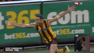 AFL 2013 1st Preliminary Final  Hawthorn highlights vs Geelong [upl. by Suertemed]