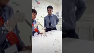 Grade 9 students visited the chemistry lab and burned down everything [upl. by Lekym]