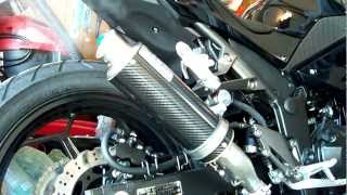 Kawasaki Ninja 300 Leo Vince Corsa Exhaust sound clip [upl. by Dee368]