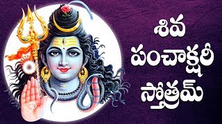 SHIVA PANCHAKSHARI STOTHAM TELUGU LYRICS AND MEANINGS [upl. by Ysirhc370]