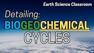 Detailing All The Biogeochemical Cycles [upl. by Oiziruam]