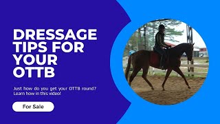 Dressage Tips for Retraining an OTTB [upl. by Neelrahs]