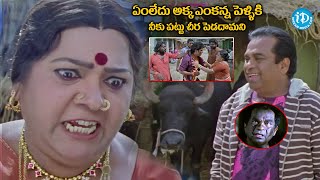 Bramhanandam Non Stop Comedy Scenes  Namo Venkatesa Movie Comedy Scenes  idreamvizag [upl. by Fortuna620]