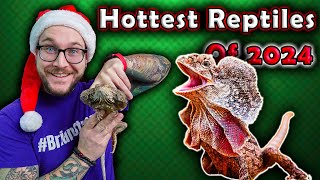 Top 5 Newly Popular Reptiles That Will BLOW UP in 2024 [upl. by Cyndy]