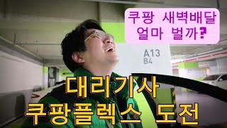 대리운전기사 쿠팡플렉스 도전 새벽배달 얼마 벌까 [upl. by Gallagher838]