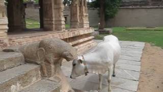 Hampi  Malyavanta Raghunath Mandir [upl. by Einnok452]