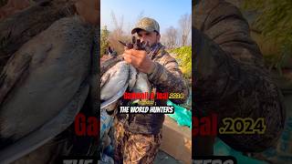 Gadwall amp teal duck hunting The World Hunters music duck shorts remix [upl. by Anne-Marie]