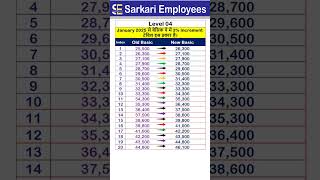 Basic Pay Increase from January 2025 of Level 4 [upl. by Akfir167]