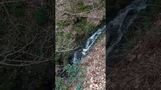 Skipton Moor forest waterfallYorkshire England [upl. by Franz]