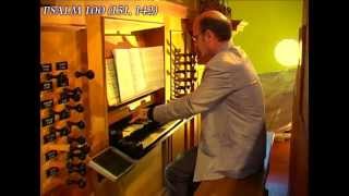 Willem vanTwillert plays his PSALM 100 Prelude Van Vulpenorgan S tadskanaal NL [upl. by Karoly]