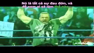 Vietsub Triple H Theme Song  WWE [upl. by Sansen]