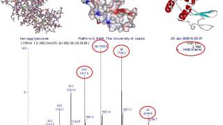 Mass spectrometry for proteomics  part one [upl. by Hna]