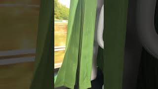 FlixBus from Cardiff to London Heathrow Airport [upl. by Krever828]