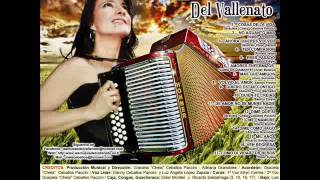 VOLVIO EL AMOR  LAS MUSAS DEL VALLENATO  INCOMPARABLESwmv [upl. by Joell]