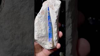 Opalized skeleton of the belemnite [upl. by Yklam268]